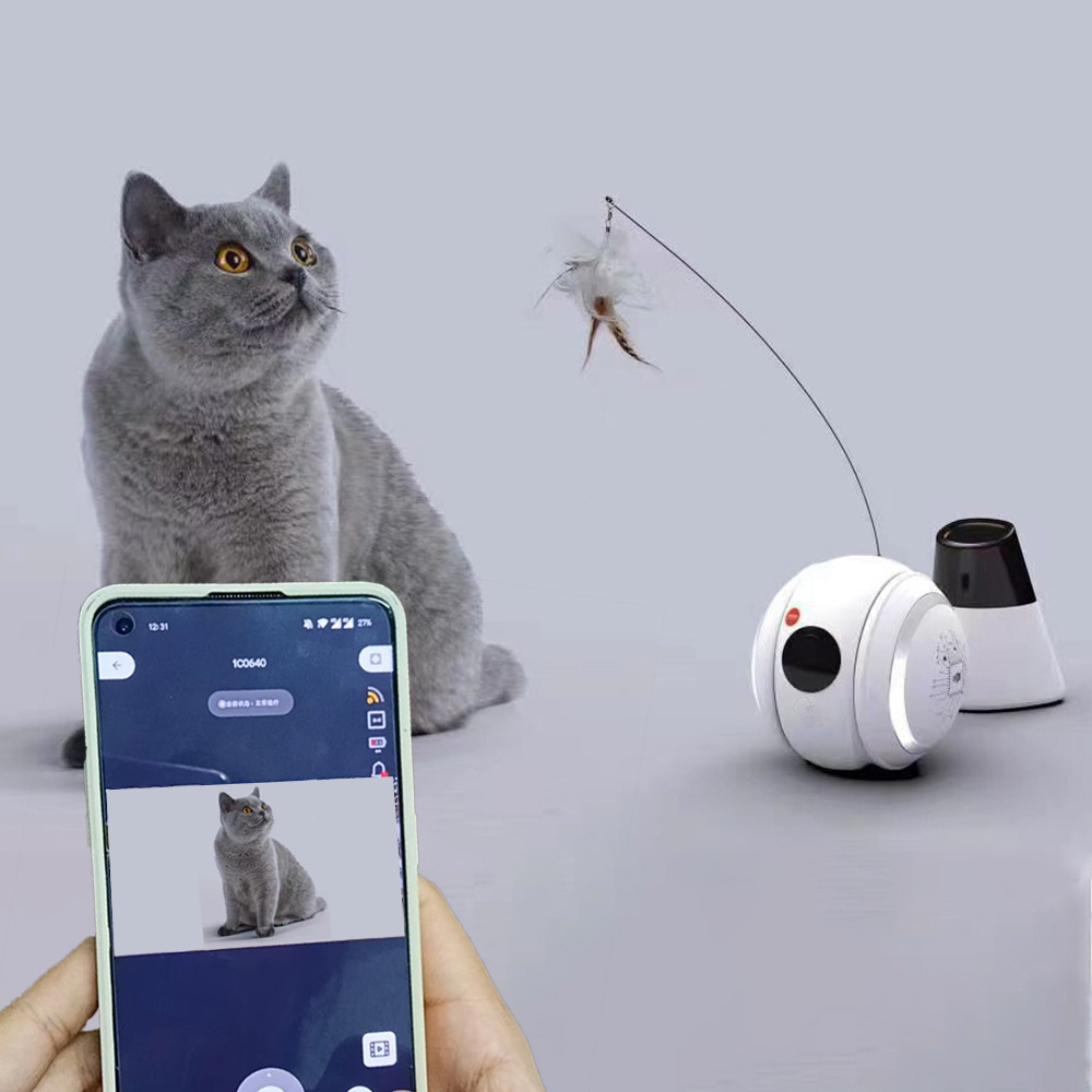 Pet companion Robot(图3)