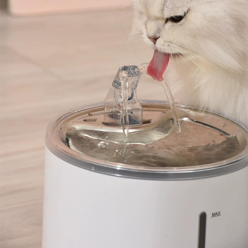 White Pet Fountain(图3)